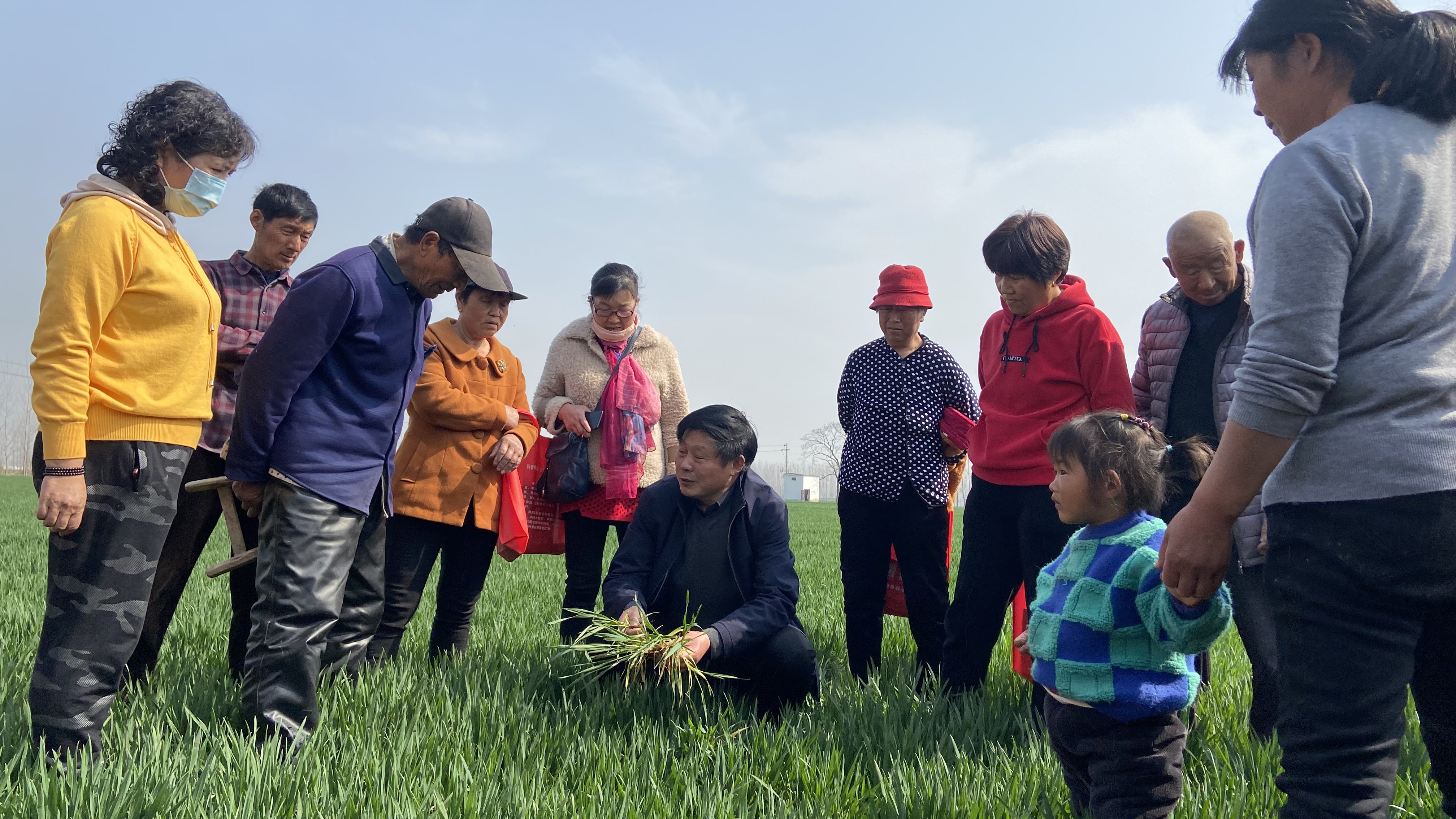 《春季小麥種植管理技術》,《蔬菜種植技術》,《農民科普手冊