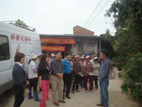 沙糖桔种植技术培训现场