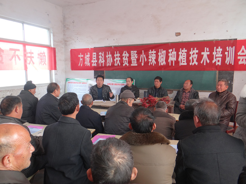 方城县科学在邀请农艺师韩书欣到四里店乡黄土岭村进行小辣椒种植培训