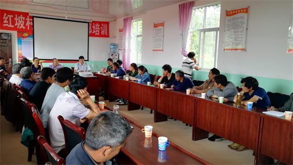红坡培训2.jpg