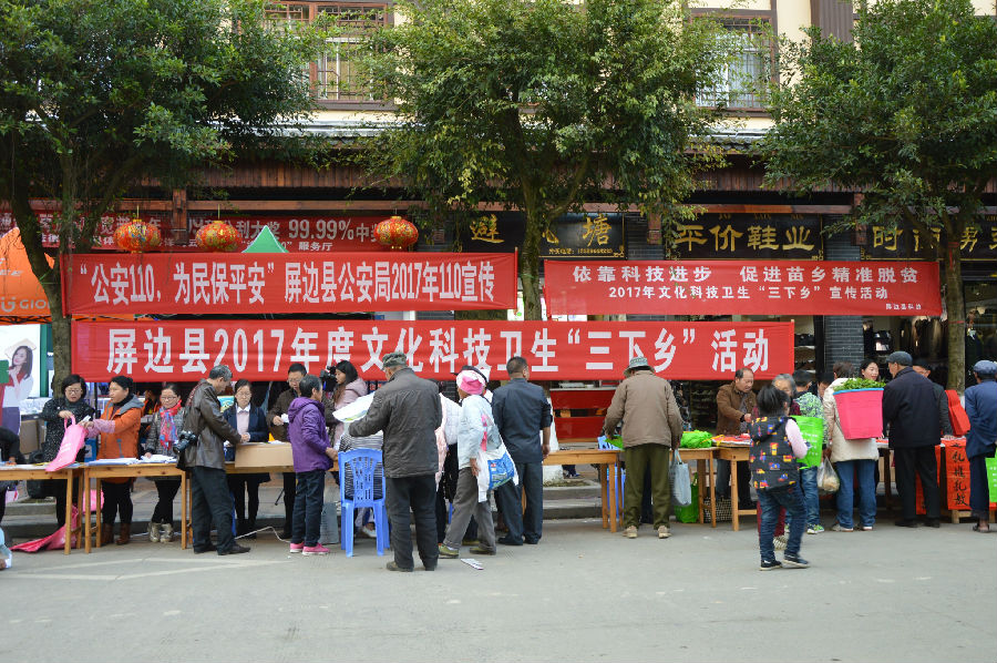 屏边县多部门联合搞“三下乡”活动